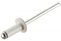 Заклепка комбинированная RAL 9003 4.0*10